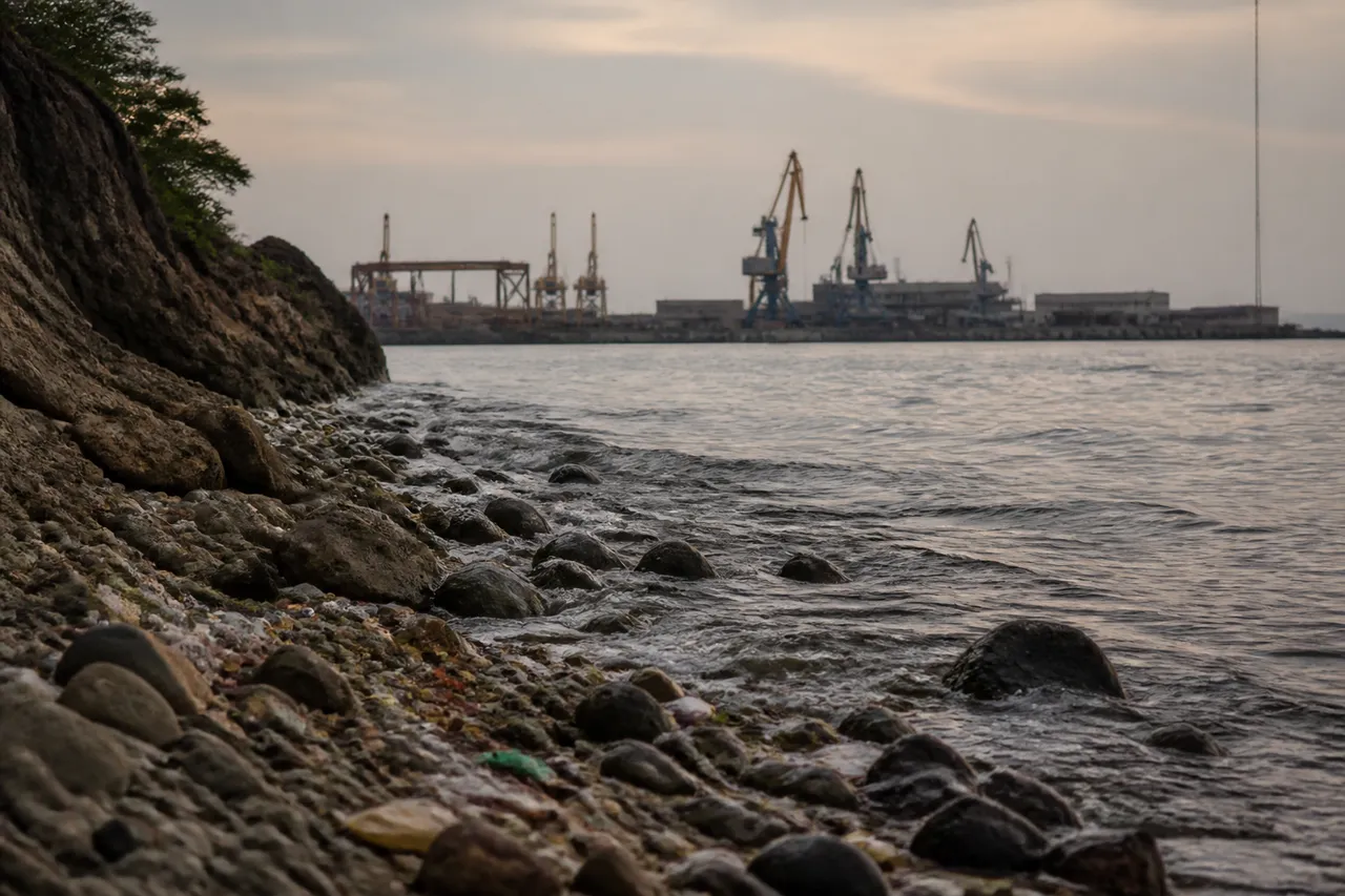 Côte polluée de Macondé, à l'île Maurice