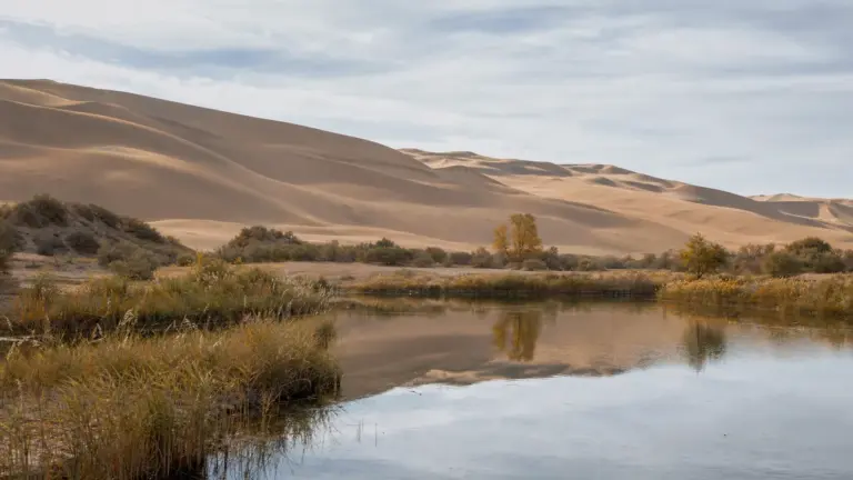 Dunes de Dunhuang et oasis paisible sur la route de la Soie