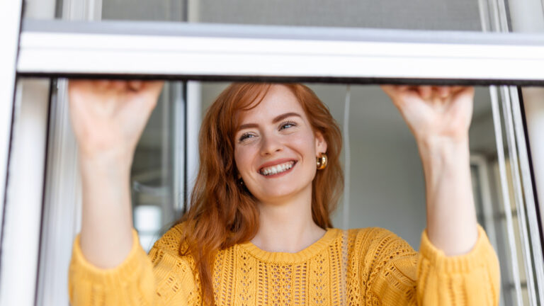 4 bonnes raisons d'installer des moustiquaires chez soi ?